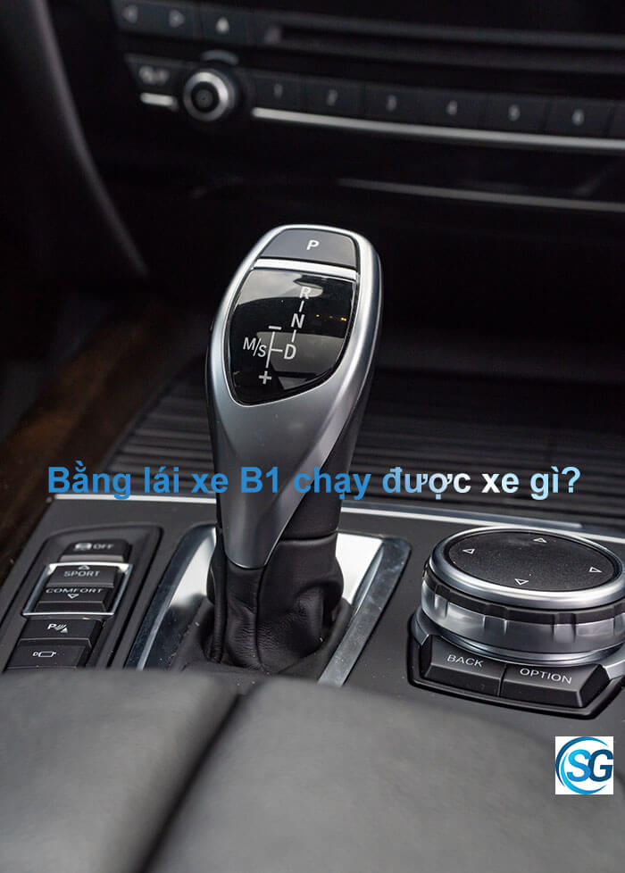 bằng lái B1 chạy được xe gì